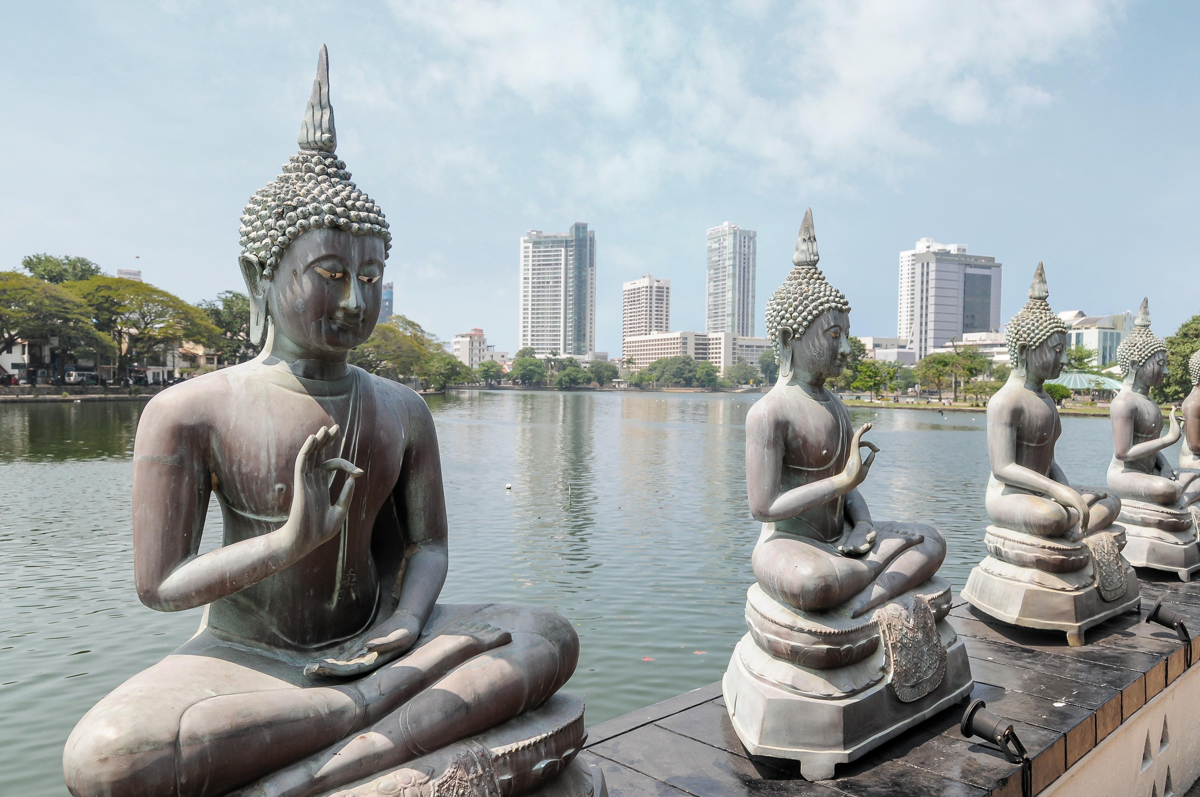 Buddha statues in the center of Colombo, in the background skyscrapers.