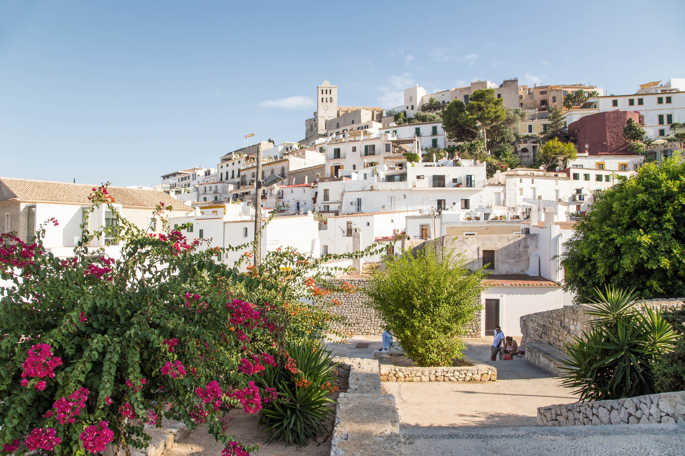 The old city part of Ibiza city with white architecture and flowers on summertime.