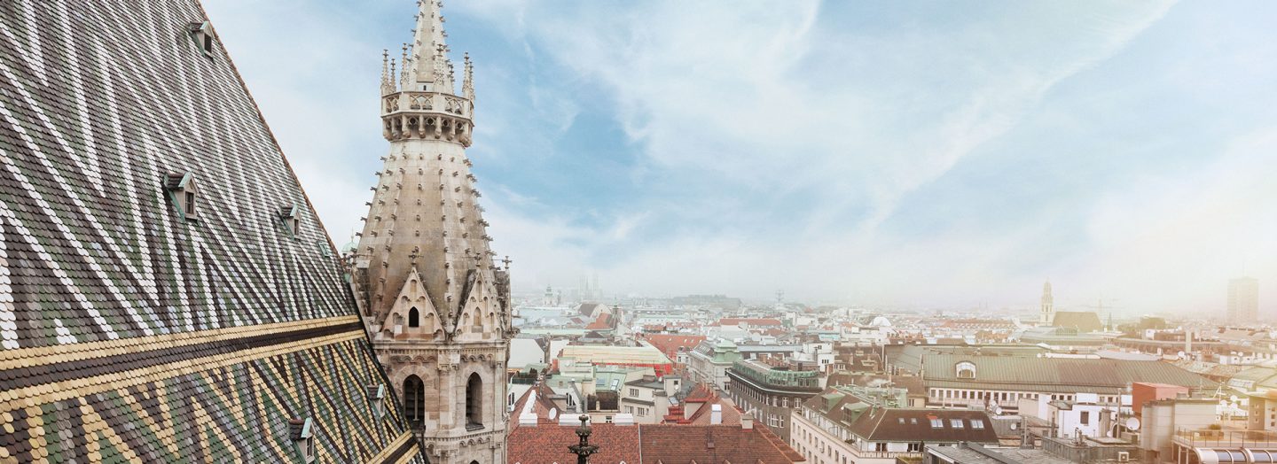 View of St. Stephen's Cathedral and the roofs of Vienna